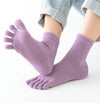 Set de 5 paires de chaussettes orteils - chaussettes en coton pour dames
